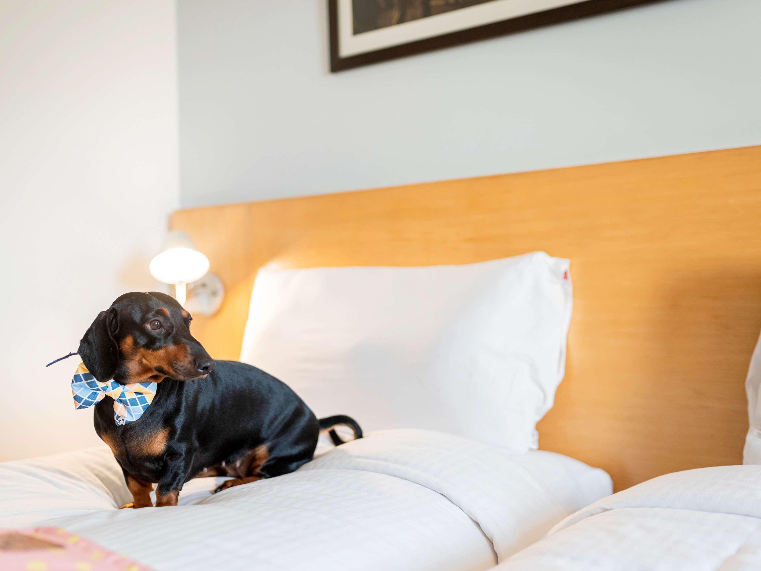 Ibis Chennai Omr - An Accor Brand Hotel Eksteriør billede