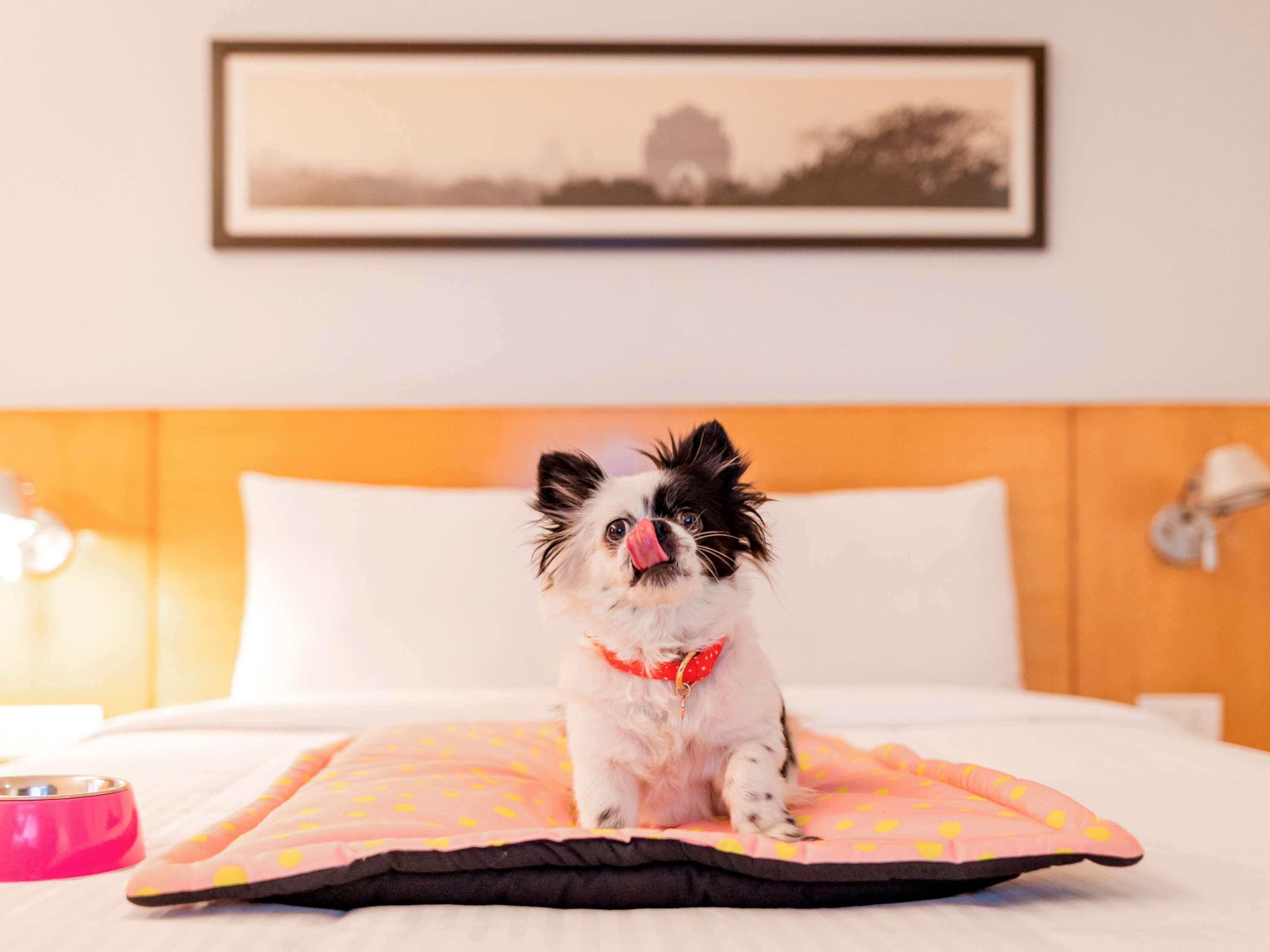 Ibis Chennai Omr - An Accor Brand Hotel Eksteriør billede
