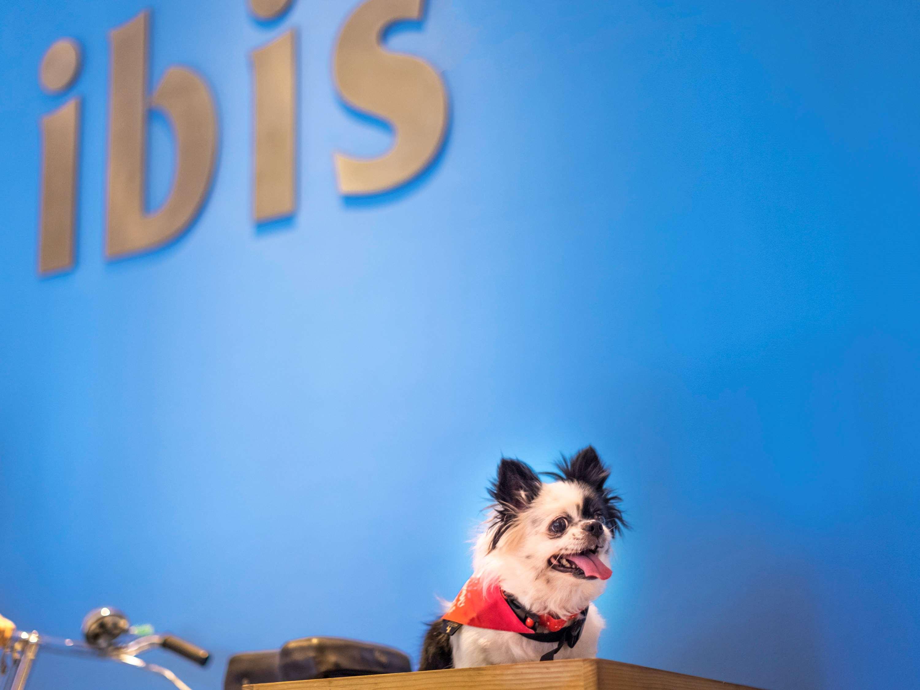 Ibis Chennai Omr - An Accor Brand Hotel Eksteriør billede